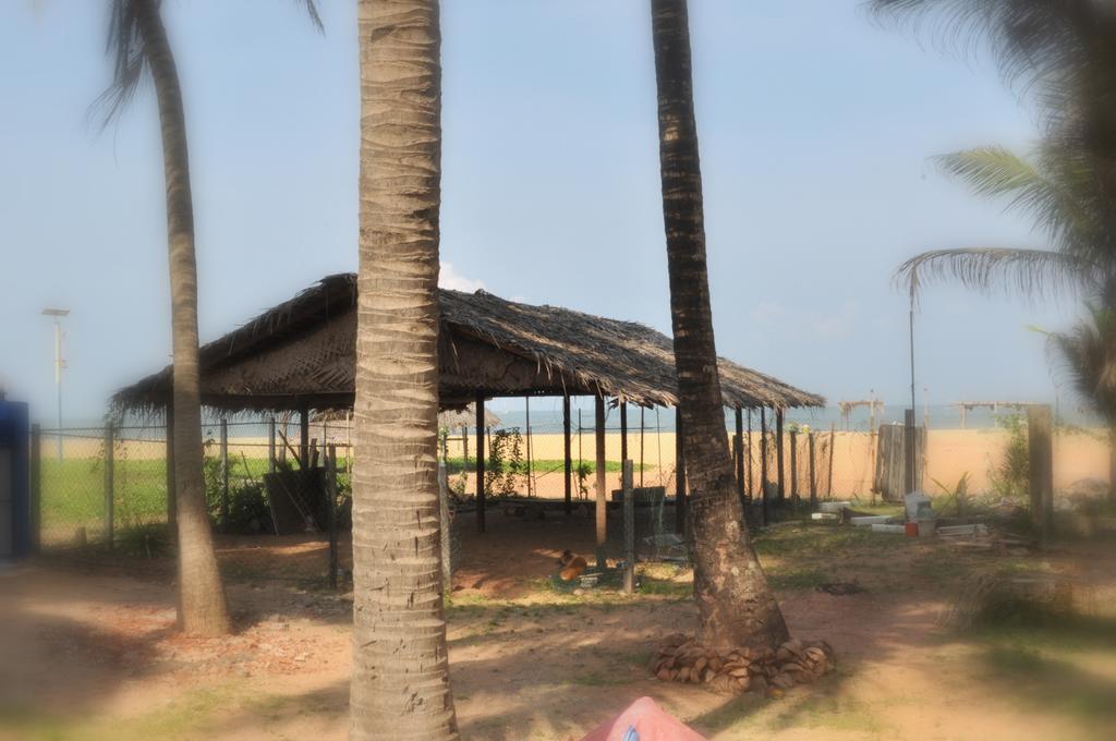 Tms Beach House Negombo Dış mekan fotoğraf