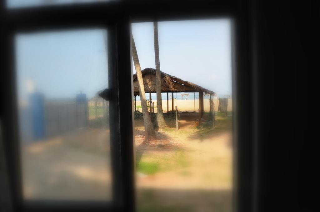 Tms Beach House Negombo Dış mekan fotoğraf